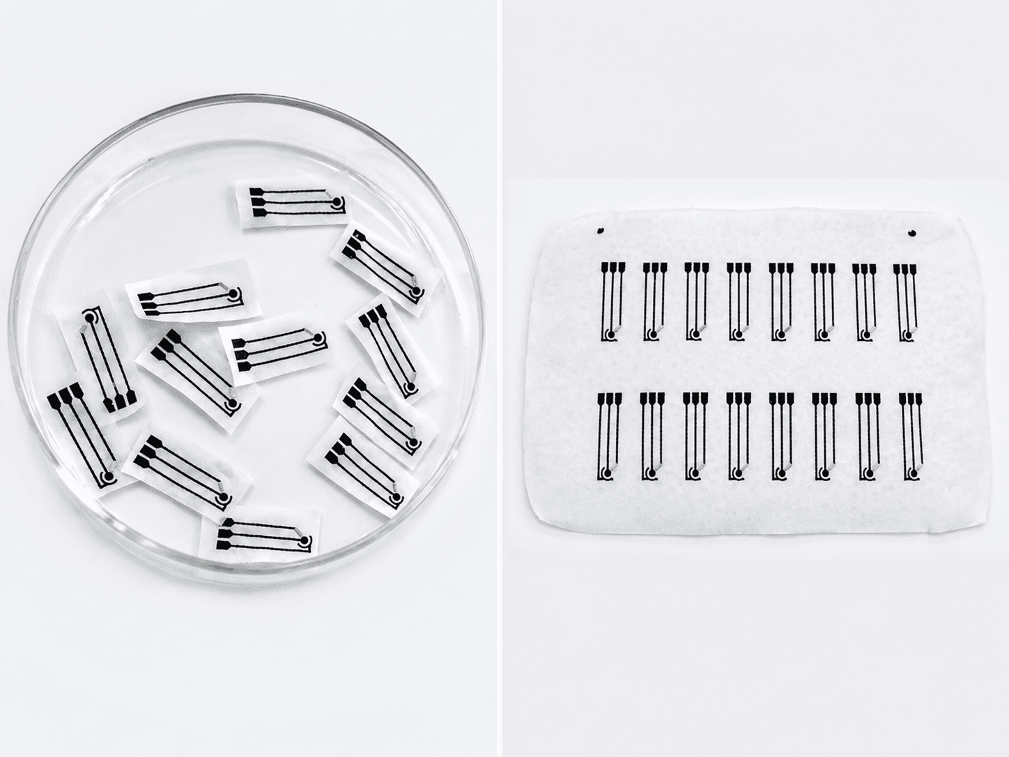 Carbon printed electrodes arranged on a sheet and in a laboratory dish